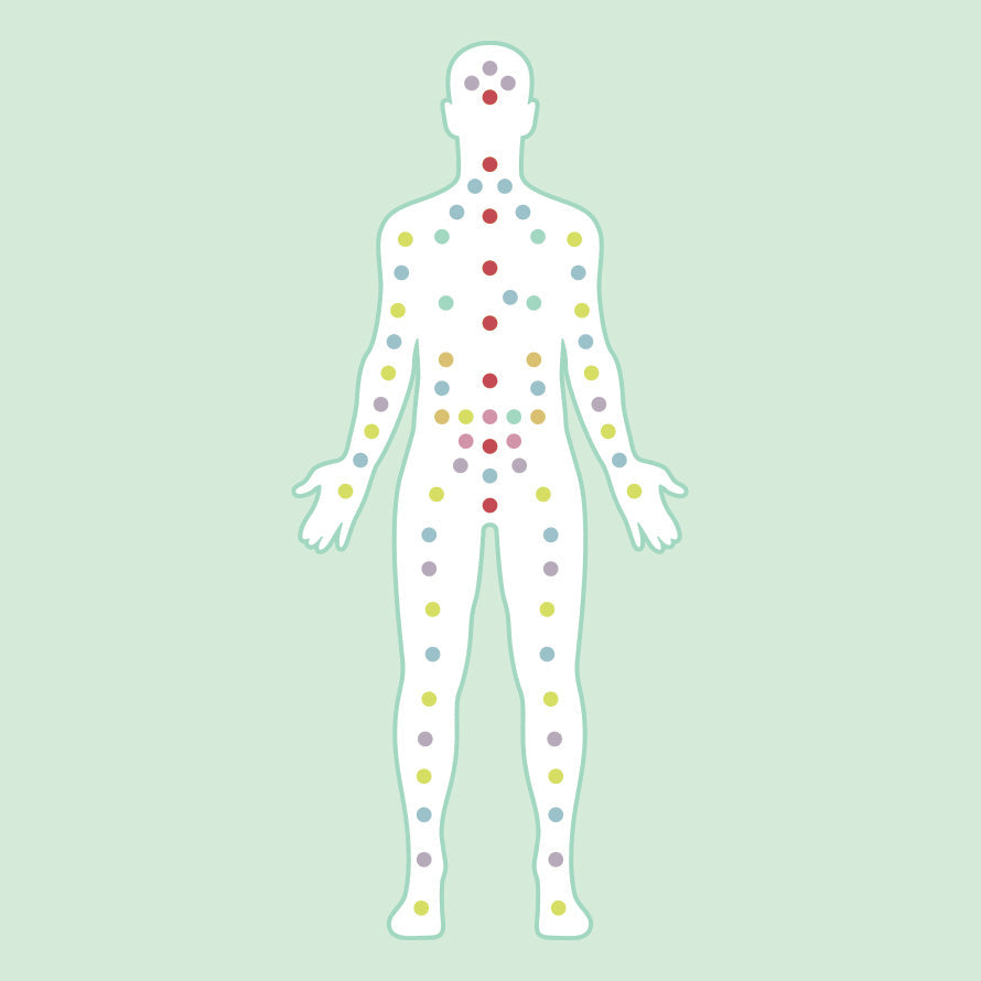 Diagram showing distribution of endocannabinoid receptors throughout the body