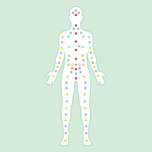 Diagram showing distribution of endocannabinoid receptors throughout the body