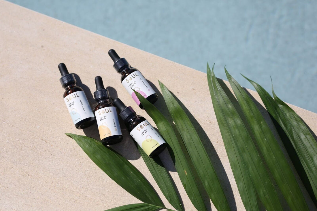Flat lay of Soul CBD oil dropper bottles showing labeled glass droppers with sunlit stone surface and palm leaves