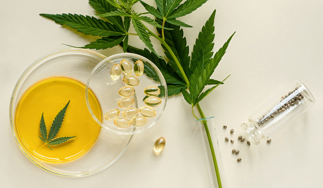 Cannabis leaf with hemp oil in glass dishes, softgel CBD capsules, and hemp seeds arranged on a beige background