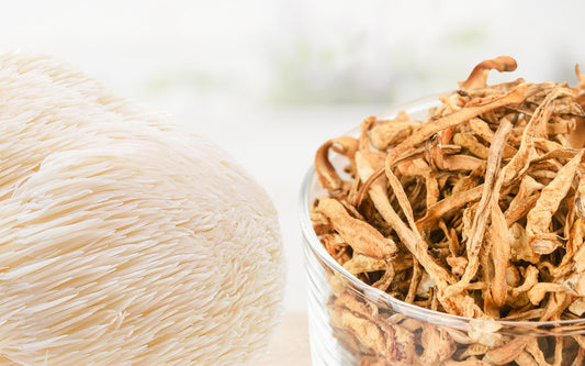 Fresh lion’s mane mushroom beside a glass bowl of dried cordyceps on a soft blurred white background