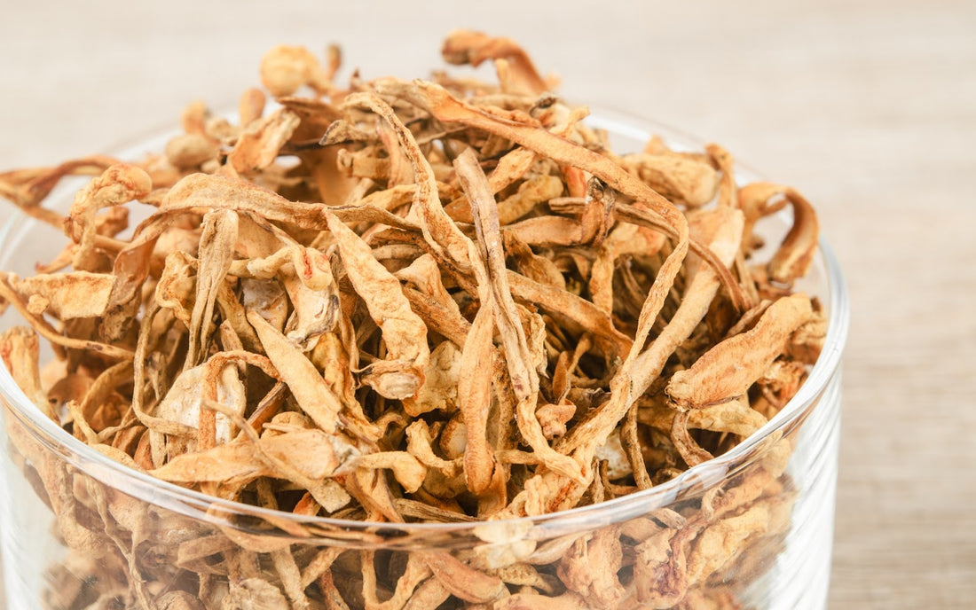 Close-up of dried cordyceps mushrooms in a clear glass bowl on a light woven background
