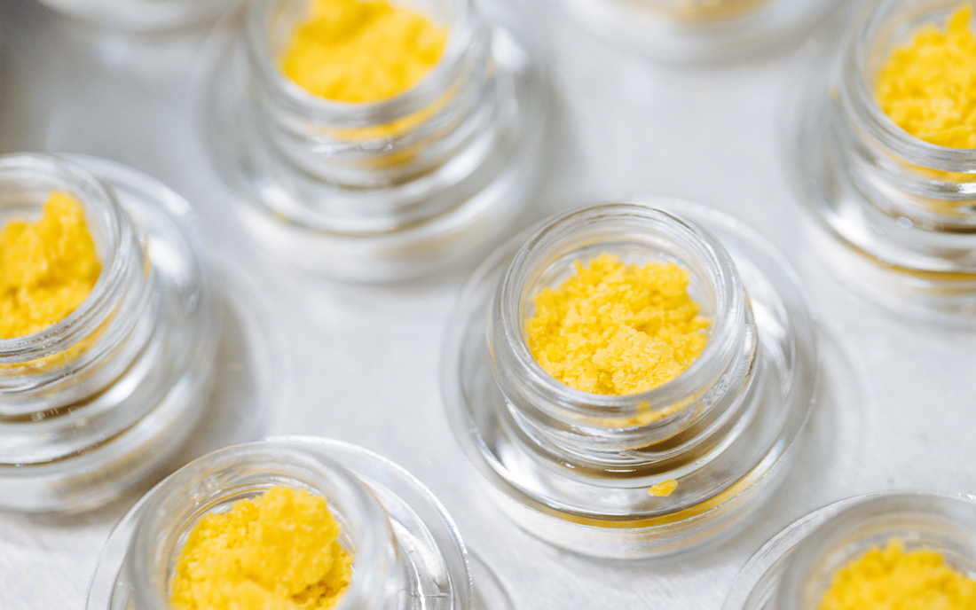Top-down close-up of small glass jars with bright yellow THC concentrate crumble on a metal tray