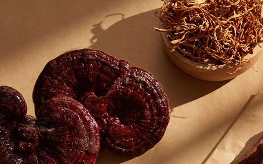 Reishi mushrooms and dried cordyceps arranged on brown paper with a wooden bowl