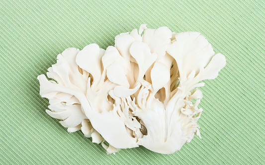 Top-down view of raw maitake mushroom cluster showcasing delicate ruffled white fronds on a textured light green background