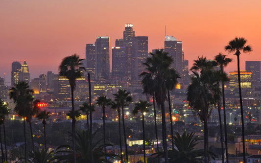 Los Angeles skyline at sunset with silhouetted palm trees in the foreground