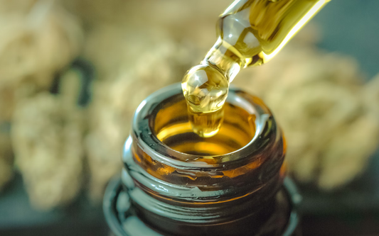 Close-up of amber glass bottle and dropper showcasing a golden oil droplet with blurred hemp buds in the background