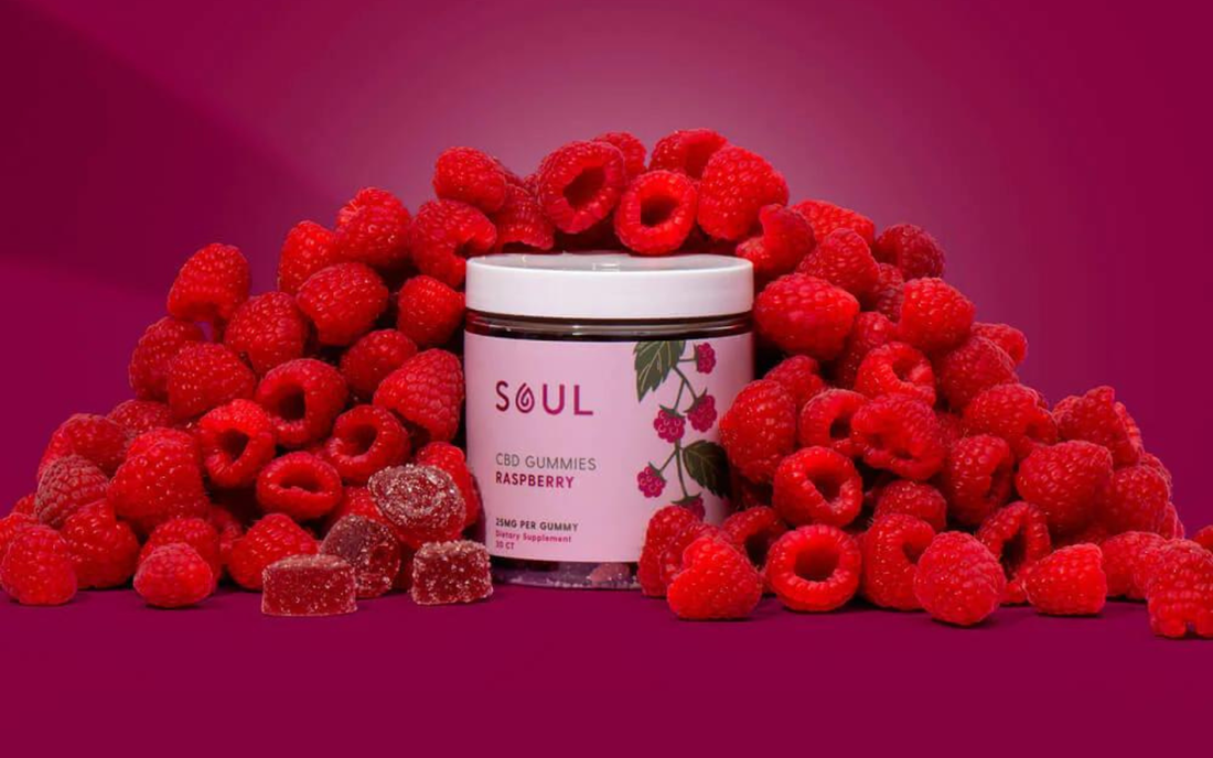 Front view of Soul Raspberry CBD gummies jar showing label and gummy pieces surrounded by fresh raspberries on magenta background