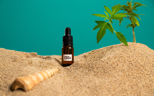 Small amber dropper bottle labeled CBDa standing in sand with a young cannabis plant and a seashell against a teal background