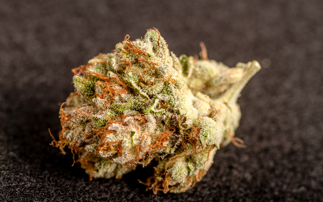 Close-up of THCP cannabis bud showing frosty trichomes and orange pistils on a dark textured background