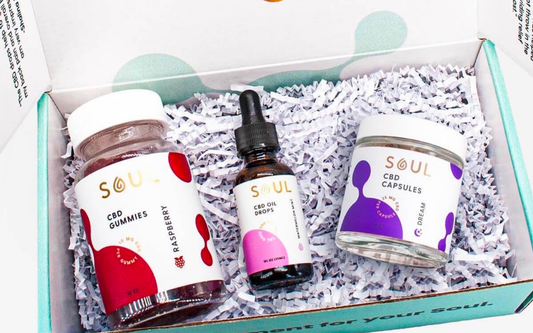 Top-down of three Soul CBD products in a teal gift box: raspberry gummies jar, watermelon-mint oil dropper, and CBD capsules
