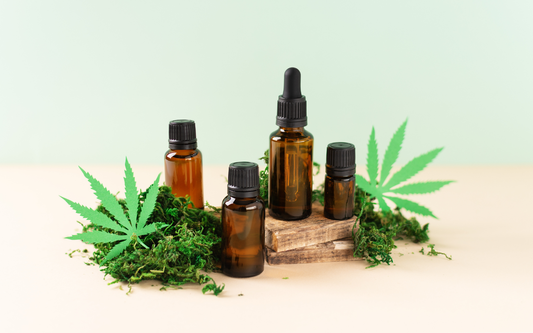 Amber glass tincture bottles and dropper surrounded by cannabis leaves and green moss on wooden blocks against a pale green background