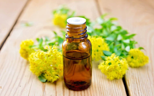 Amber glass bottle of rhodiola extract on a wooden table with yellow rhodiola flowers in the background
