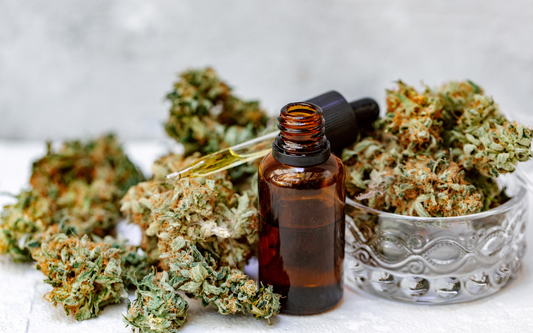 Amber dropper bottle of cannabis oil beside dried cannabis buds in a glass dish on a white surface