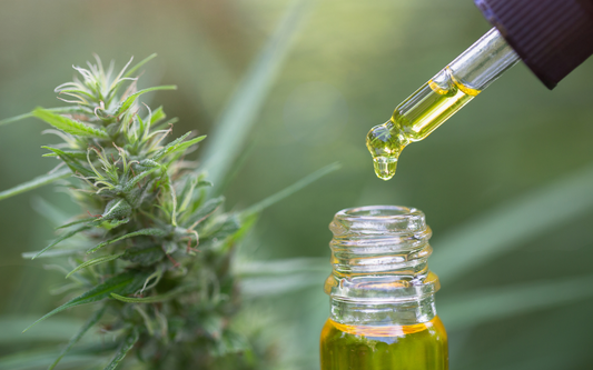 Cannabis bud next to a glass dropper releasing a drop of golden oil into a small bottle with a blurred green background