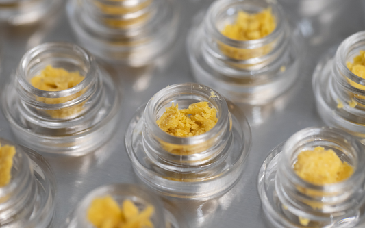 Close-up of THC-H concentrate crumble in small clear glass jars showcasing golden yellow crumbly texture on a metal tray