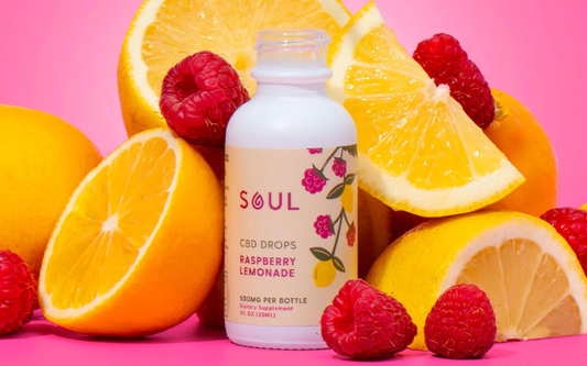 Front view of Soul Raspberry Lemonade CBD Drops bottle showing label text and 500mg potency with sliced oranges and raspberries on a pink background