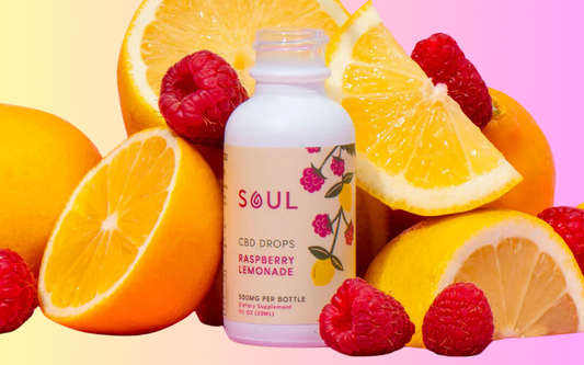 Front view of Soul Raspberry Lemonade CBD bottle showing label and 500mg text with oranges and raspberries on pink background