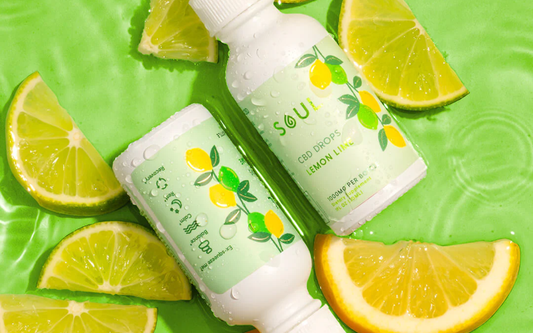 Flat lay of two Soul CBD Drops lemon-lime bottles showcasing lemon-and-lime label and condensation with lemon slices on green background