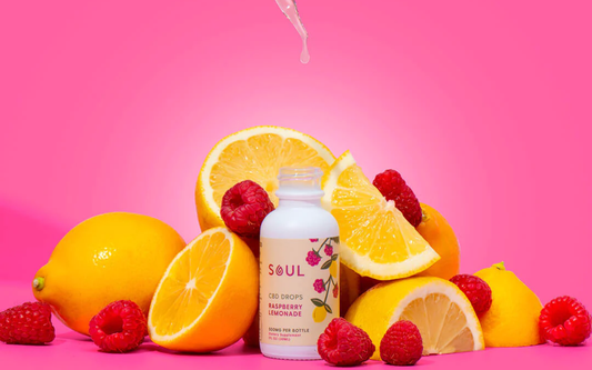 Front view of Soul CBD Drops Raspberry Lemonade bottle showcasing label, surrounded by lemon slices and raspberries with a bright pink background