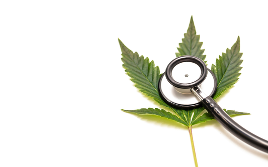 Stethoscope resting on a cannabis leaf on a white background