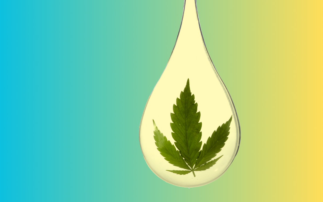 Teardrop of liquid encasing a green cannabis leaf on a blue-to-yellow gradient background