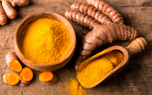 Turmeric roots and bright orange turmeric powder in a wooden bowl and scoop on a rustic wooden table