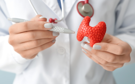 Doctor pointing at a red thyroid model with a pen, wearing a white coat and stethoscope