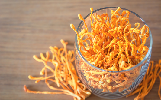 Close-up of dried cordyceps mushrooms in a clear glass bowl showing bright orange, thread-like stems on a wooden table