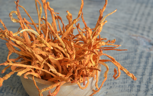 Close-up of dried cordyceps mushrooms showcasing thin orange finger-like strands in a wooden bowl on a weathered gray-blue table