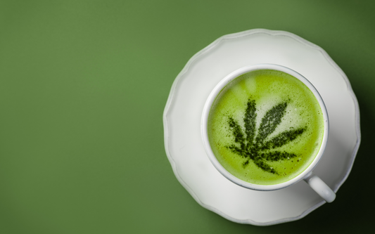 Top down view of a green THC drink with a cannabis leaf design in the foam, in a white cup and saucer on green background