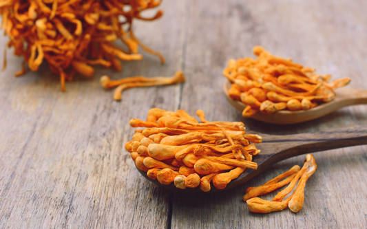 Close-up of dried Cordyceps mushrooms on wooden spoons showcasing thin orange, finger-like stems and wrinkled tips on a rustic wood table