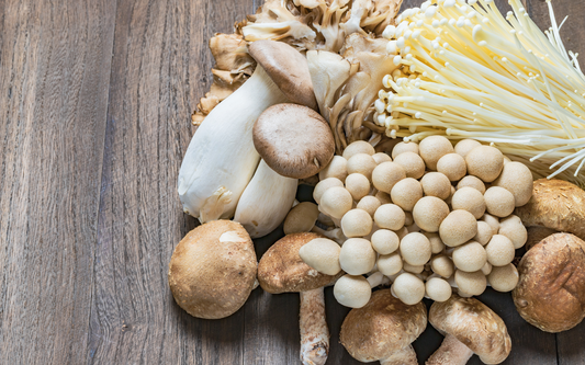 Assorted fresh mushrooms arranged on a wooden table