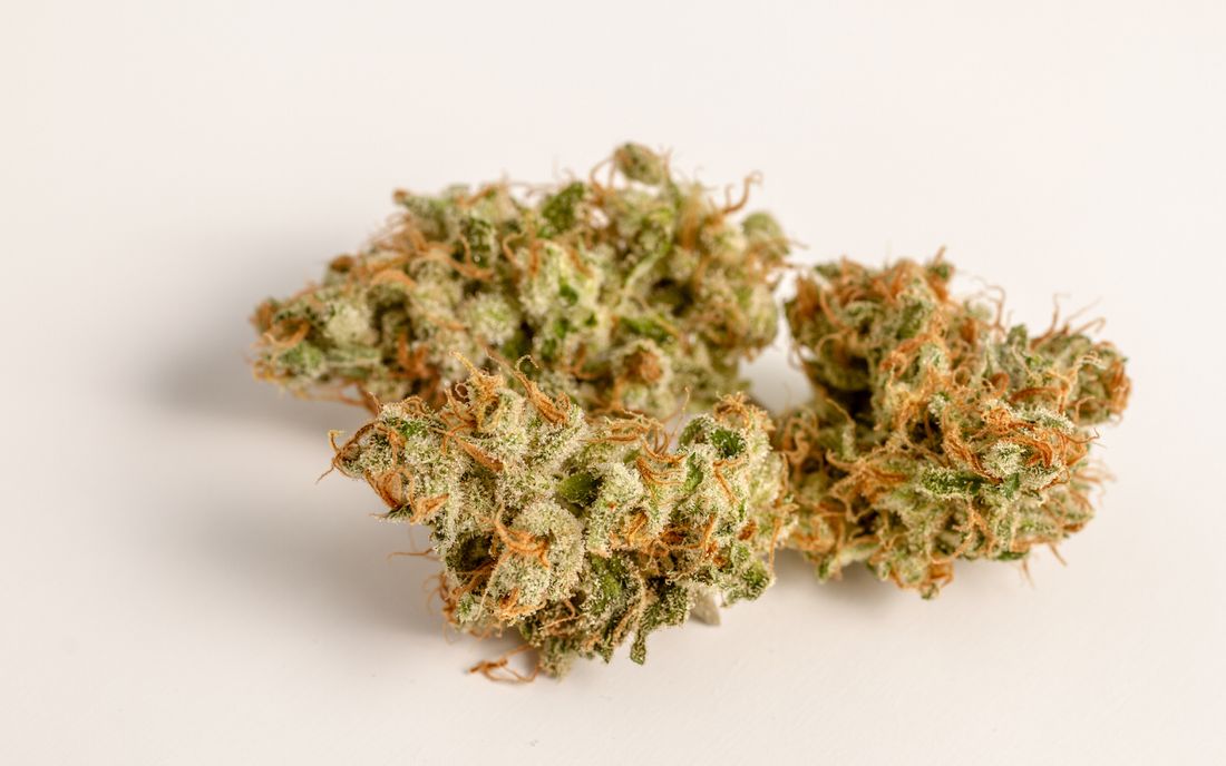Close-up of cannabis buds showing frosty trichomes and orange pistils on a white background