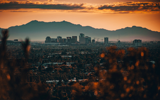 City skyline at sunset with silhouetted mountains behind and warm bokeh foliage in the foreground