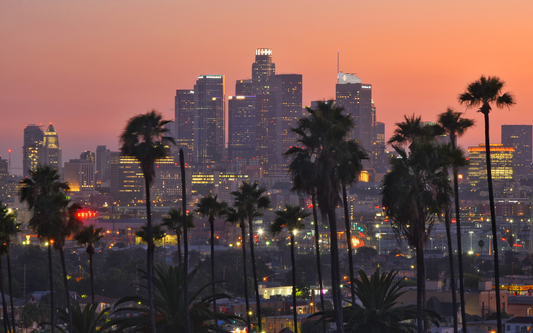 Los Angeles skyline at sunset with palm trees in the foreground