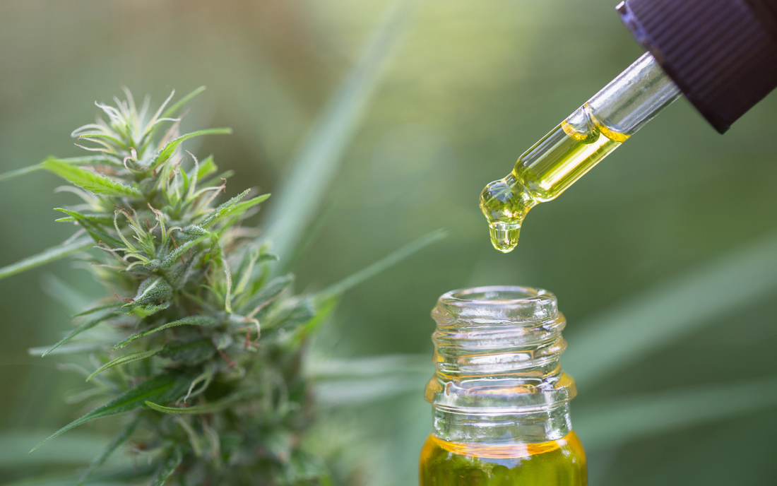 Cannabis bud next to a dropper releasing a drop of CBD oil into a small glass bottle against a blurred green background