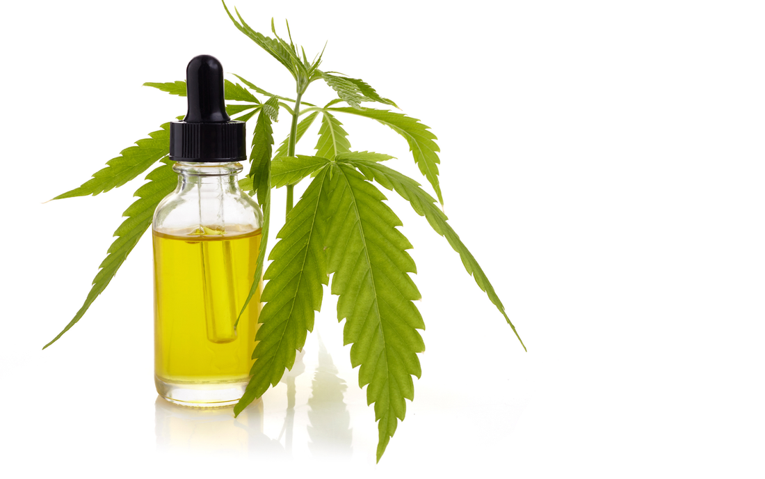Front view of CBD oil dropper bottle showing golden oil and hemp leaves on white background