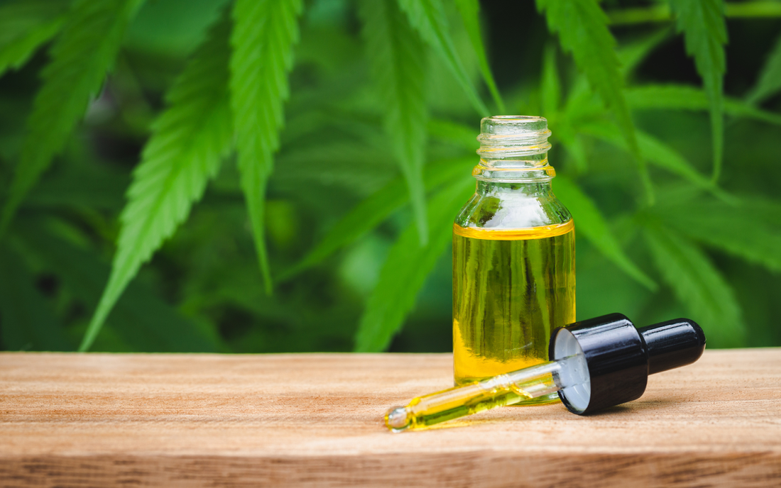 Bottle of CBD oil with dropper on a wooden surface in front of cannabis leaves