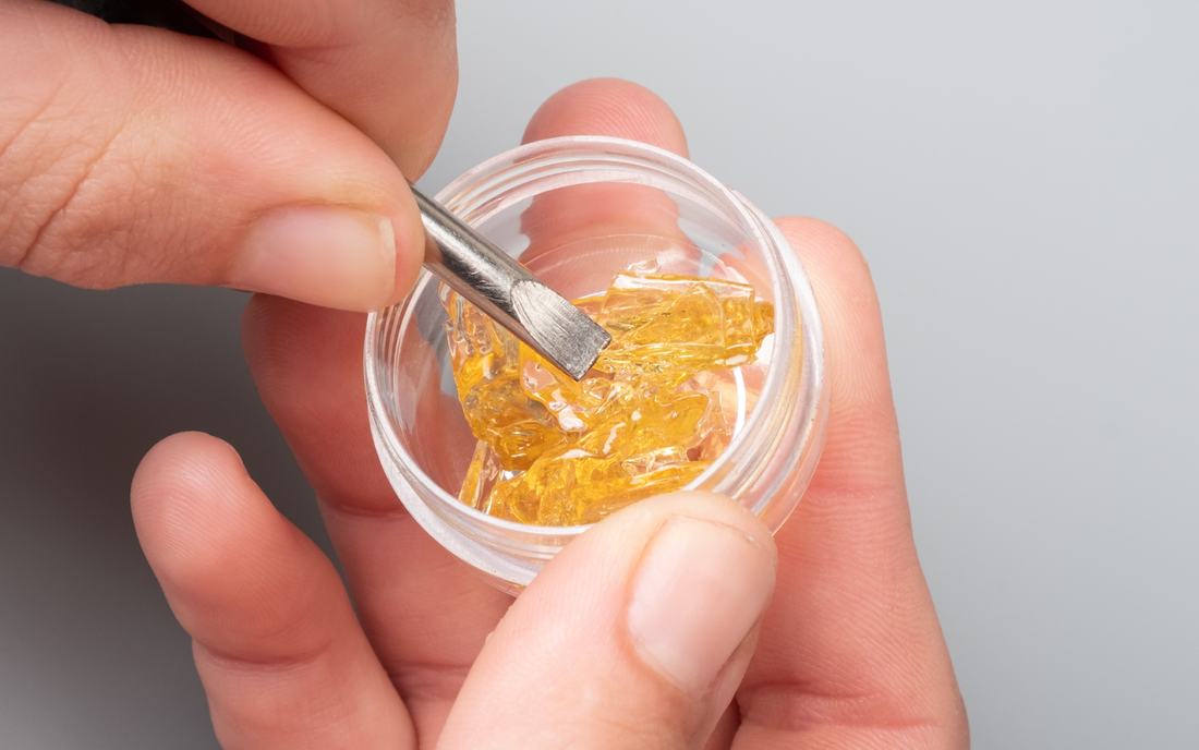 Close-up of THC extract shatter in a small clear jar with a metal dab tool and fingers against a light gray background