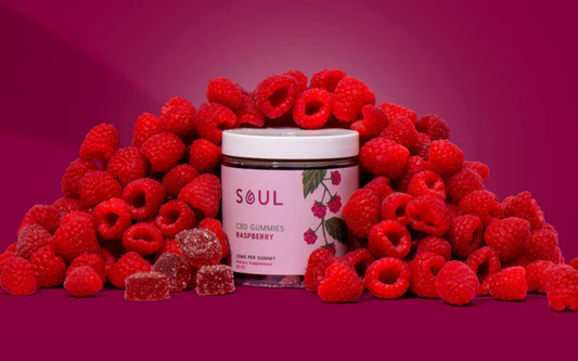 Front view of Soul Raspberry CBD Gummies jar surrounded by fresh raspberries and gummy pieces on magenta background