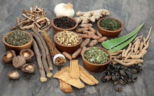 Array of dried adaptogenic herbs and roots arranged on a stone surface, with wooden bowls holding turmeric, dried leaves, and peppercorns