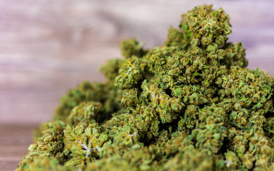 Close-up of dried cannabis buds piled on a wooden surface with a blurred wood background