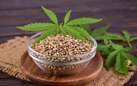 Bowl of hemp seeds sitting on a wooden board with fresh hemp leaves in the background