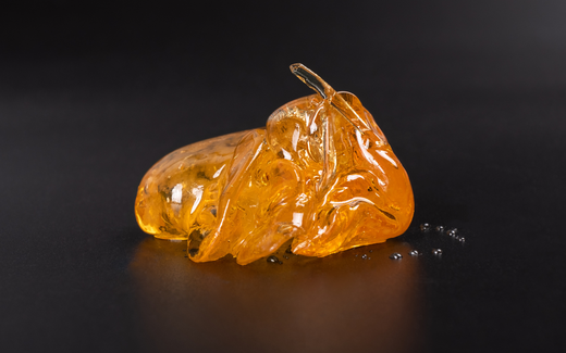 Close-up of amber cannabis concentrate showcasing glossy translucent texture on a black background