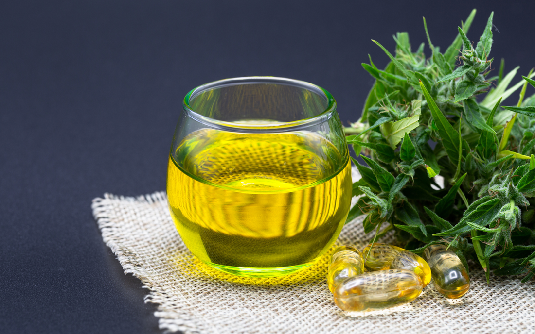 Glass of golden hemp oil and softgel capsules beside fresh hemp buds on a woven cloth against a dark background