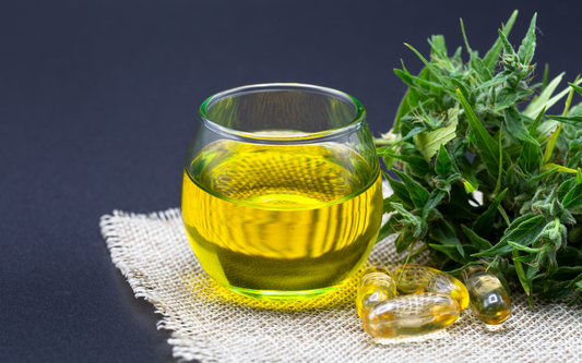 Glass of golden hemp oil and softgel capsules beside fresh hemp buds on a woven cloth against a dark background