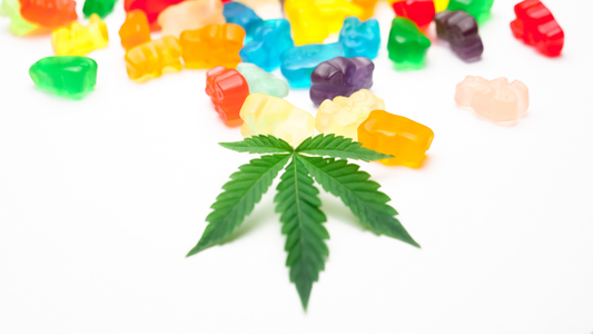 Hemp leaf resting in front of scattered colorful gummy bear edibles on a white background