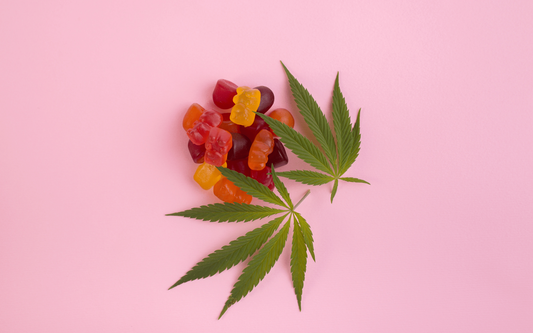 Cluster of colorful gummy bear edibles beside two cannabis leaves on a pink background