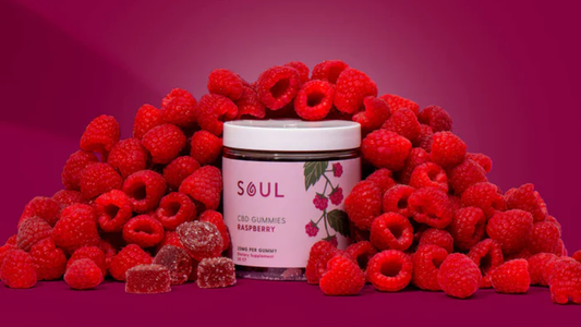Front view of Soul raspberry CBD gummies jar showcasing pink label, surrounded by fresh raspberries and sugar-coated gummy pieces on a magenta background